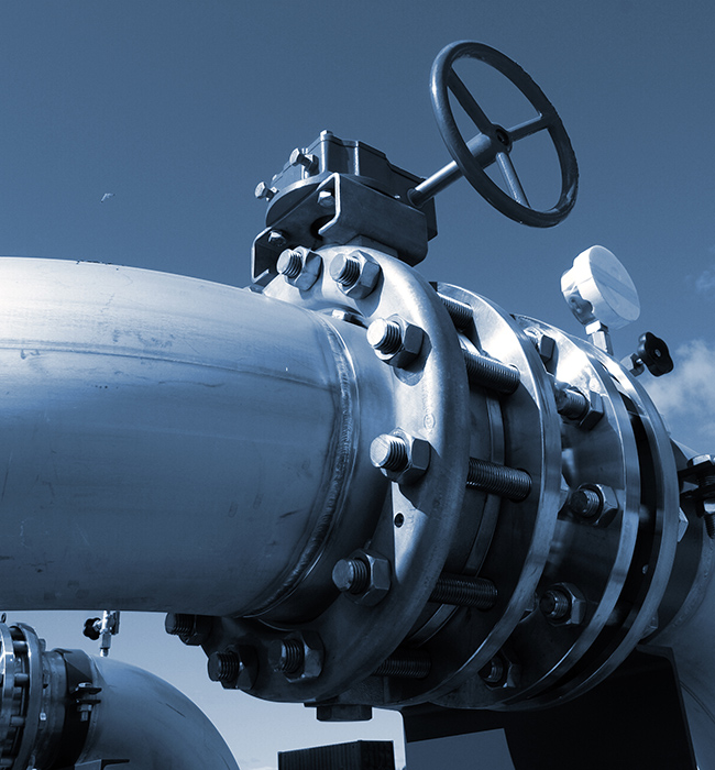 'Người bảo vệ quyền kiểm soát' trong thế giới chất lỏng